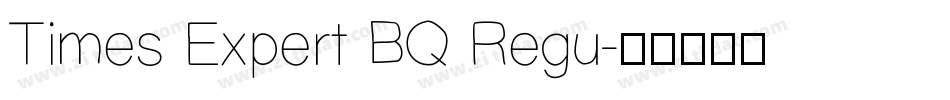 Times Expert BQ Regu字体转换